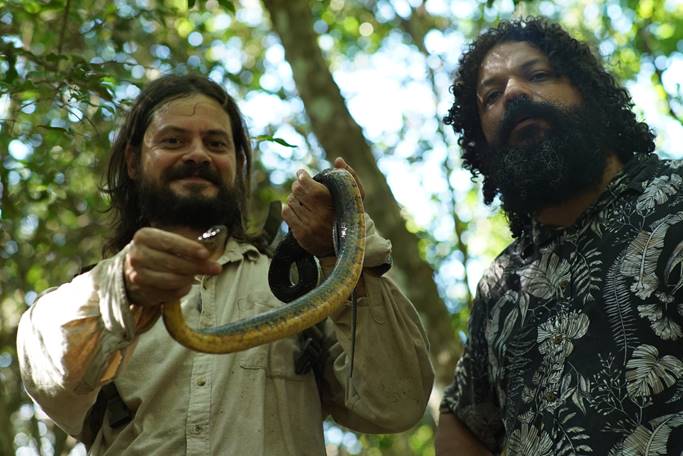 Série sobre explorações de biólogos desmistifica cobras brasileiras -  Estadão